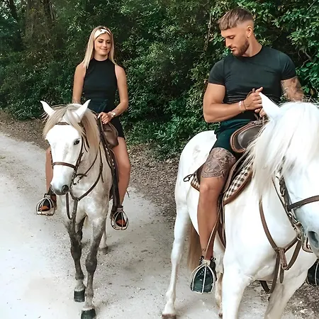 Monet - Mas De Rey Arpaillargues-et-Aureillac